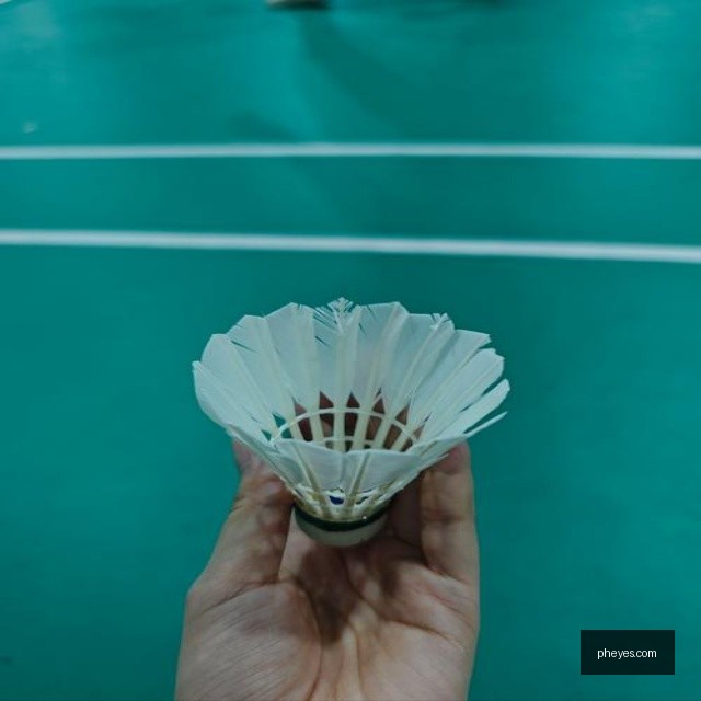 奥斯卡与汉密尔顿一练后视镜交锋