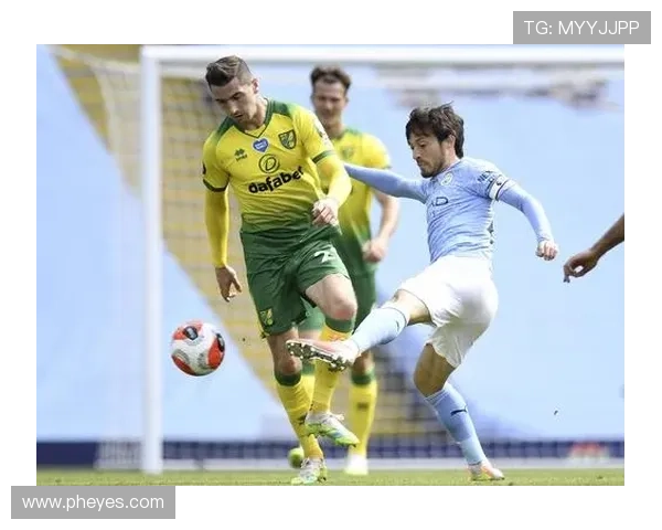 诺维奇俱乐部历史回顾与未来展望：英格兰足球新兴力量的崛起