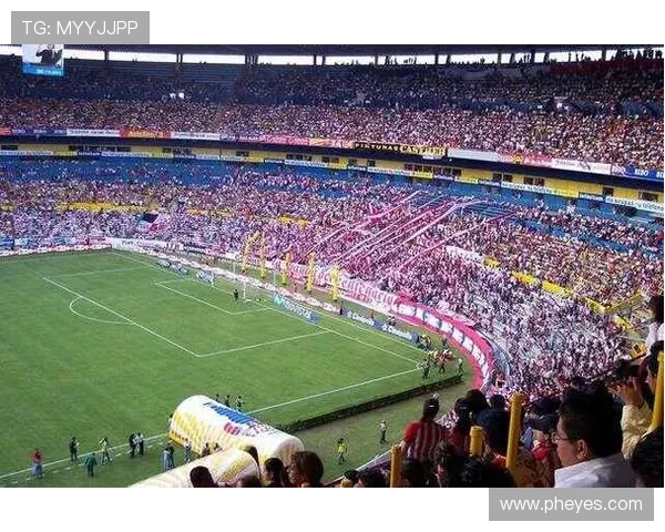 历届世界杯举办国家分布与历史演变全景分析图