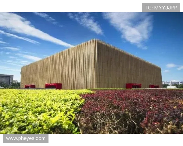 探秘洛杉矶奥运会主会场及其周边城市更新与体育文化融合发展之路