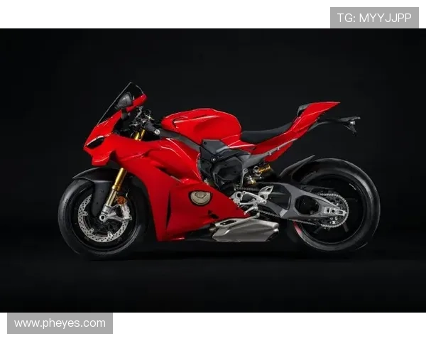 杜卡迪续约消息引爆MotoGP赛场新赛季竞争格局或将彻底重塑 杜卡迪续约消息引爆MotoGP赛场新赛季竞争格局或将彻底重塑