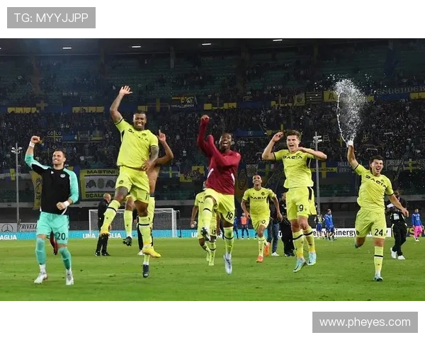 维罗纳俱乐部的辉煌历程与意甲赛场上的传奇崛起